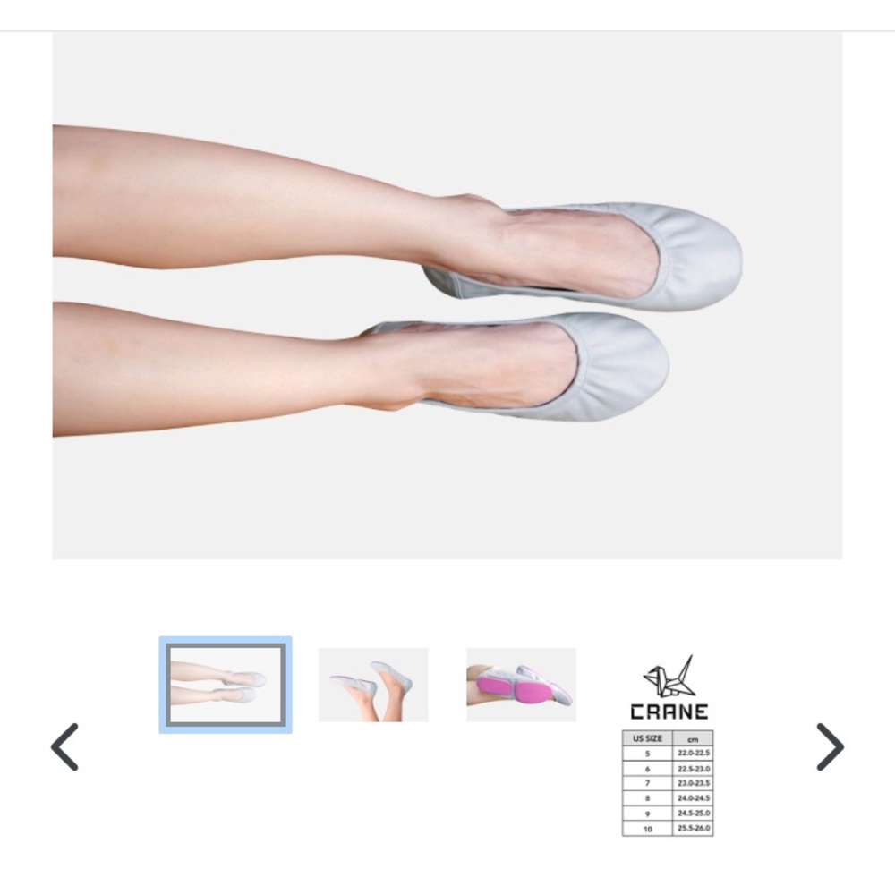 Crane Boutique Foldable Flats